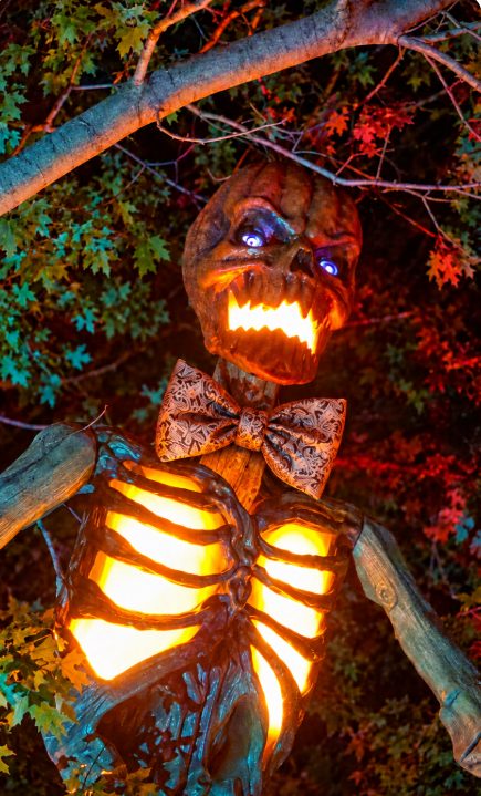 Pumpkin-headed skeleton wearing an oversized patterned bow tie, illuminated by orange and teal lights in Doug Berry’s Halloween yard display.
